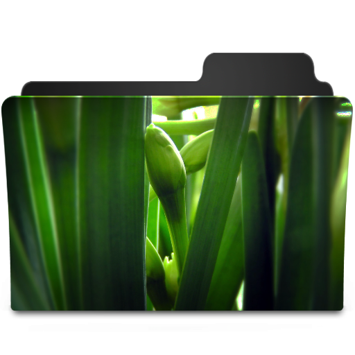 Green Flower Icon 512x512 png